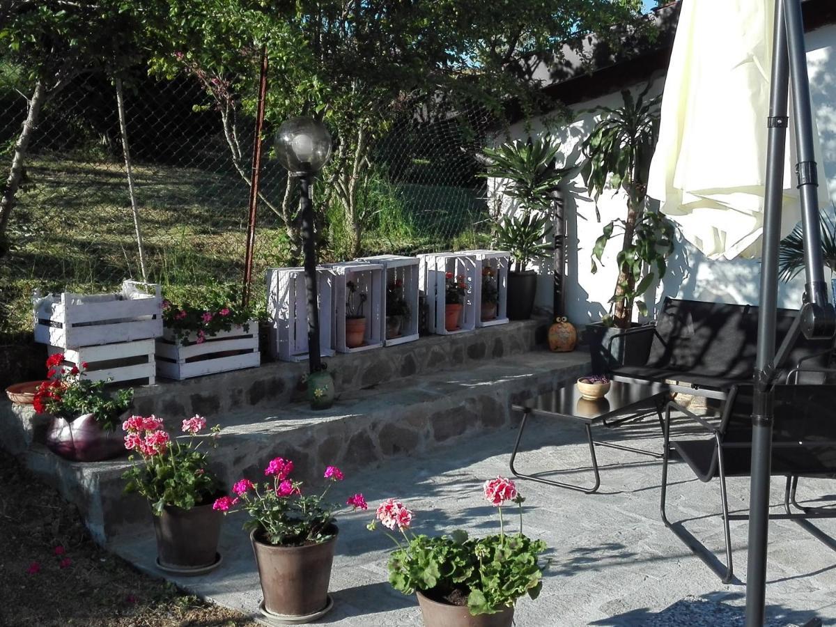 דירות אלסנדריה La Casa Nel Sole מראה חיצוני תמונה