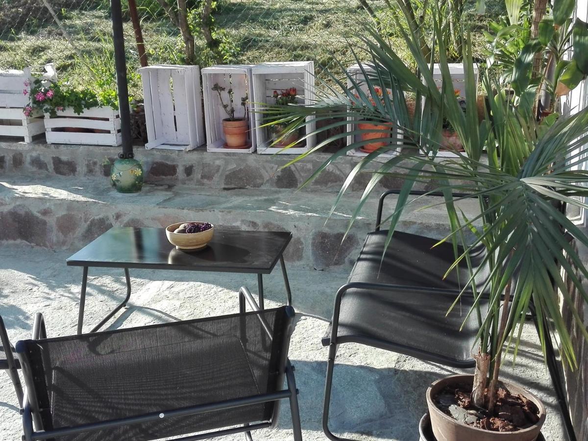 דירות אלסנדריה La Casa Nel Sole מראה חיצוני תמונה